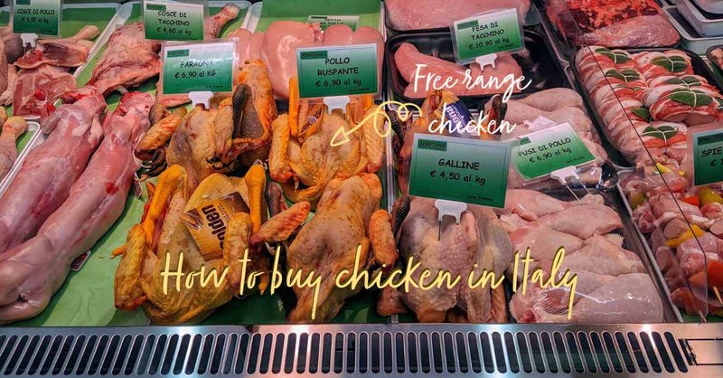 Esplora chicken road italia